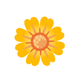 Арника Монтана