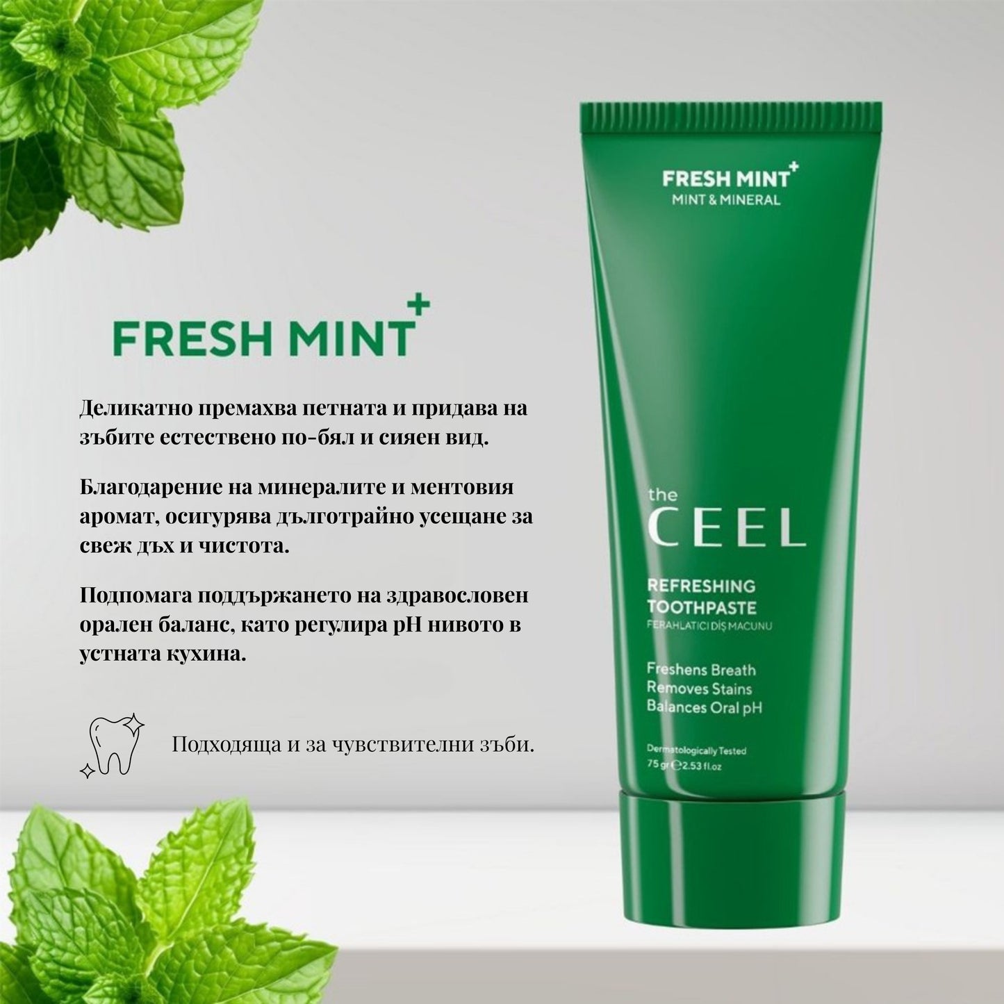 ОСВЕЖАВАЩА ПАСТА ЗА ЗЪБИ с мента - 75g